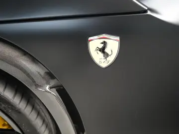 FERRARI Purosangue FULL CARBON PASSENGER DISPL PPF