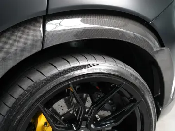 FERRARI Purosangue FULL CARBON PASSENGER DISPL PPF