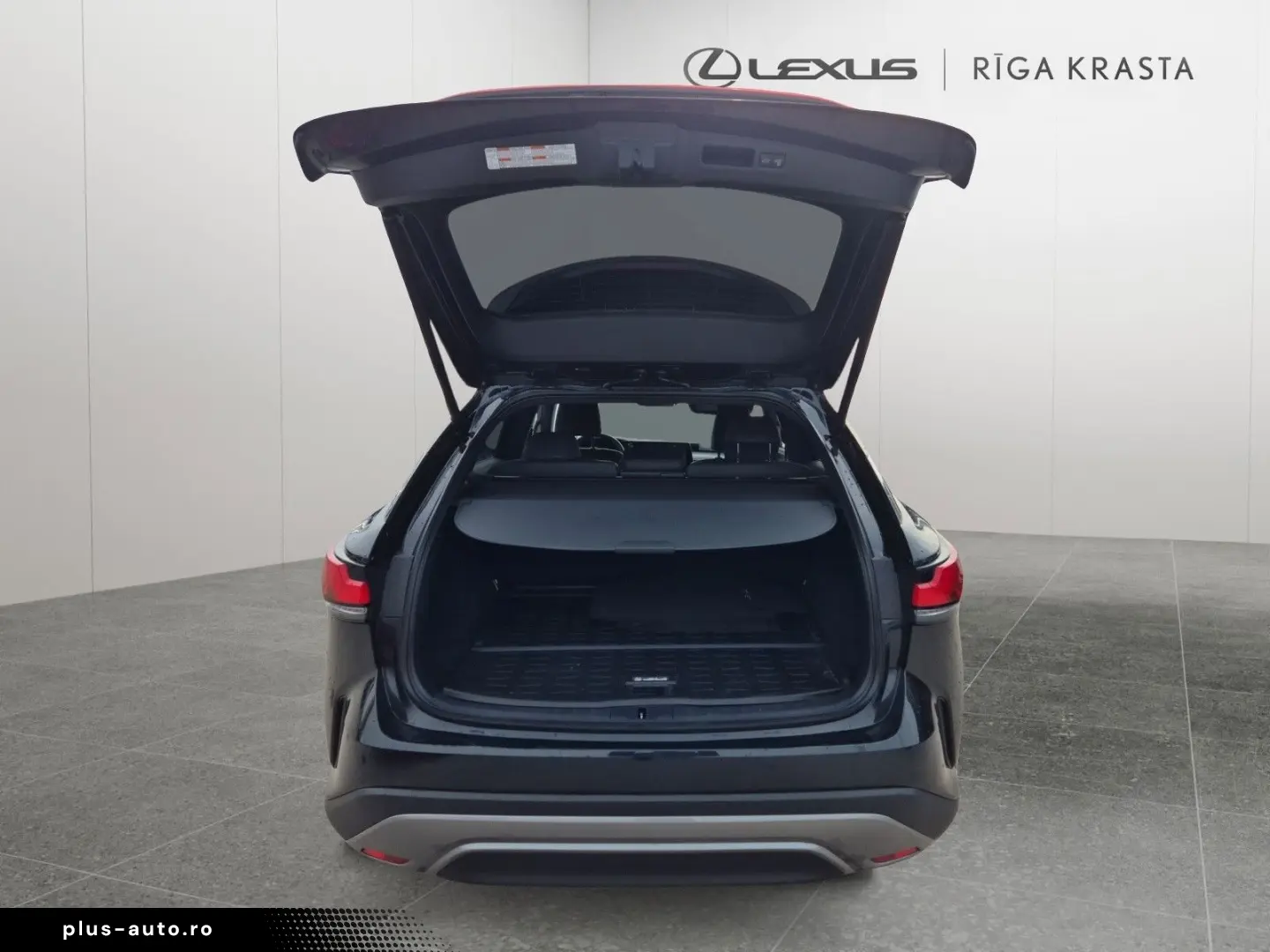 LEXUS RX 350 Executive Line