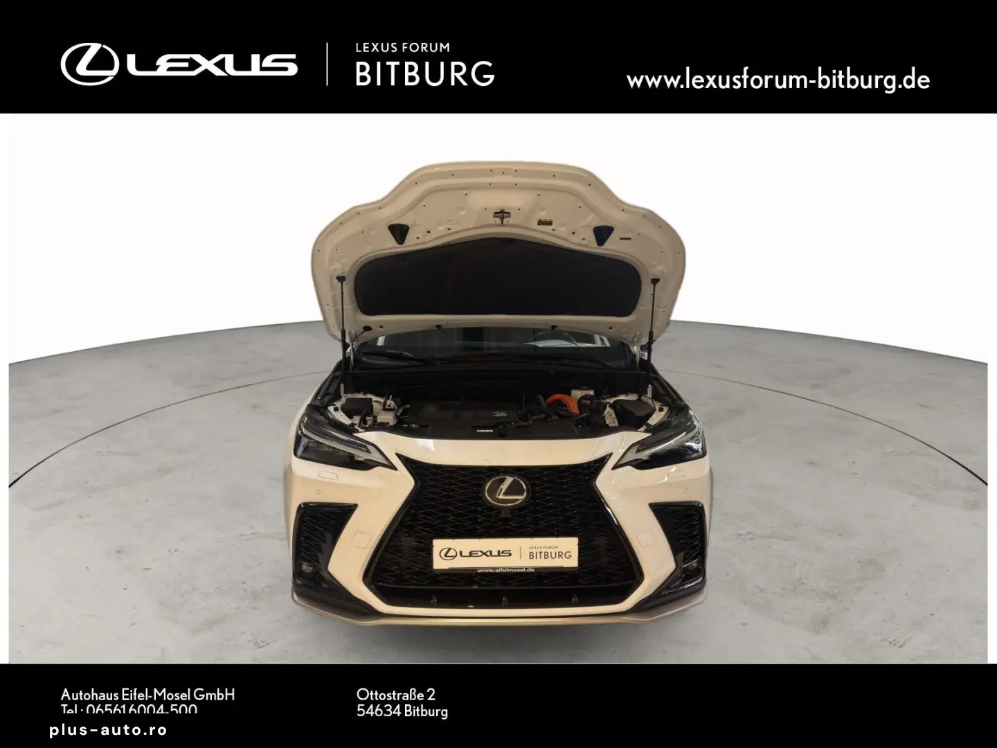 LEXUS NX 350 E-Four F Sport Mark Levinson 15 Jahre Lex