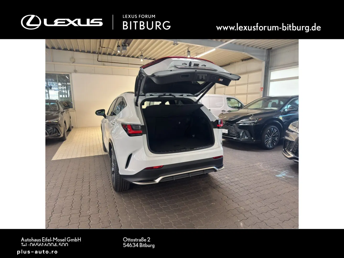 LEXUS NX 350 E-Four F Sport Mark Levinson 15 Jahre Lex