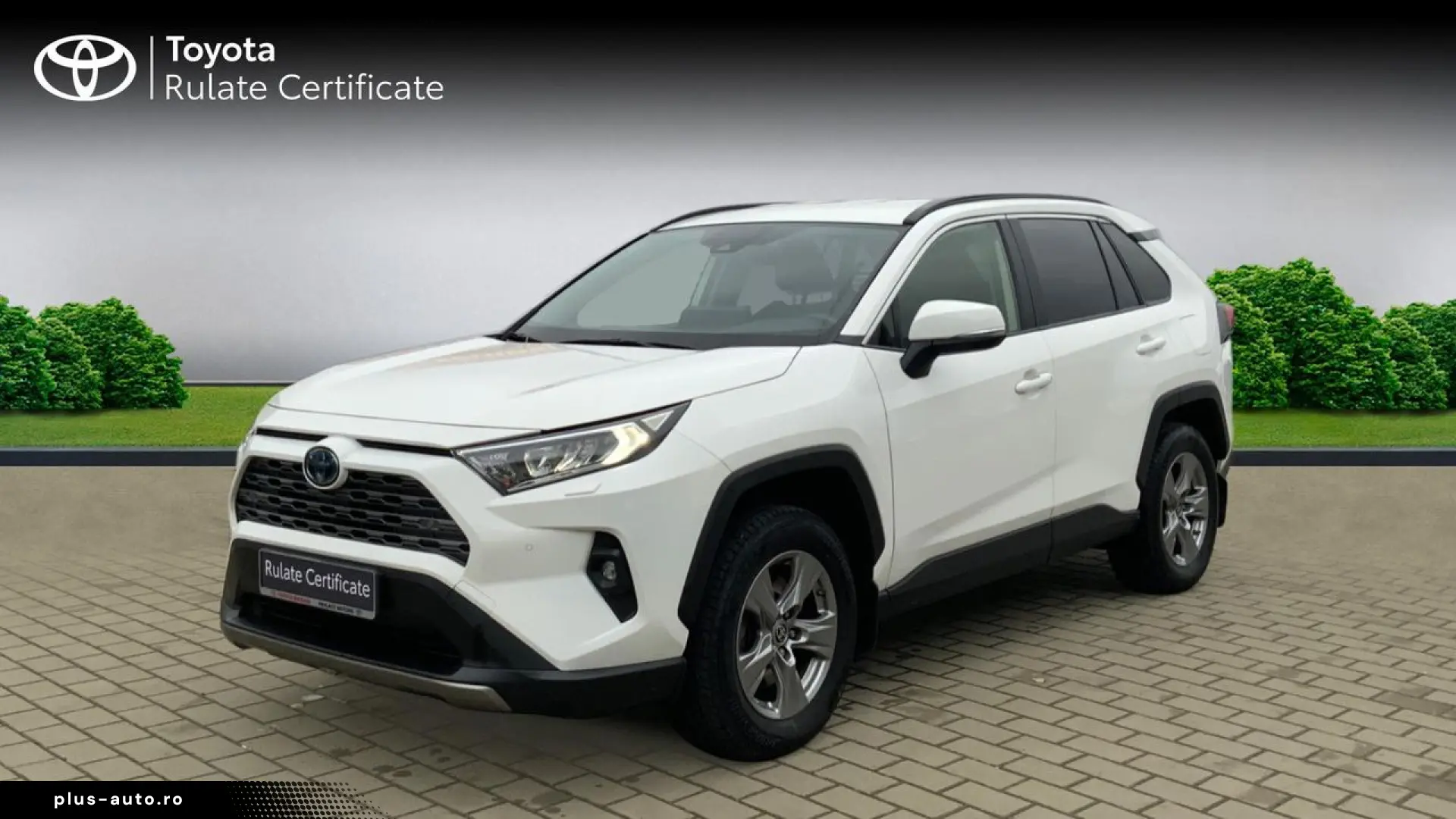 Toyota Rav-4