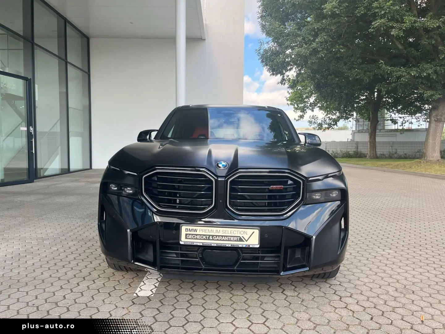 BMW XM Label