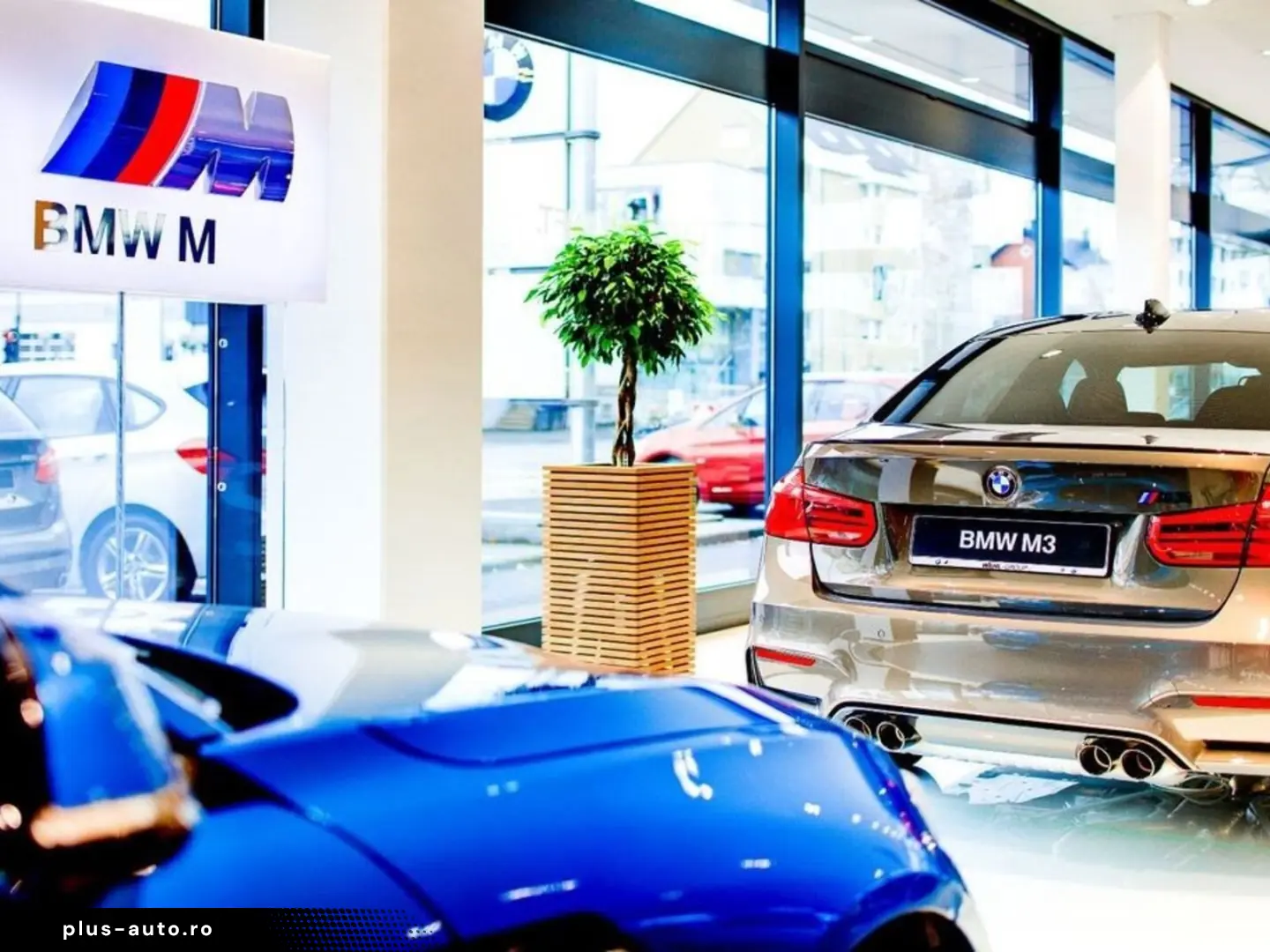 BMW X5 M Competition MEINDL 1 von 25 WELTWEIT