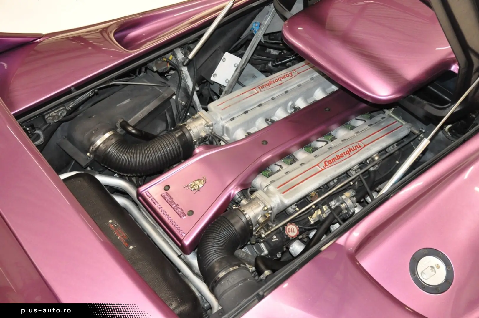 LAMBORGHINI Diablo GTR Evolution original 33.841 1.Hand