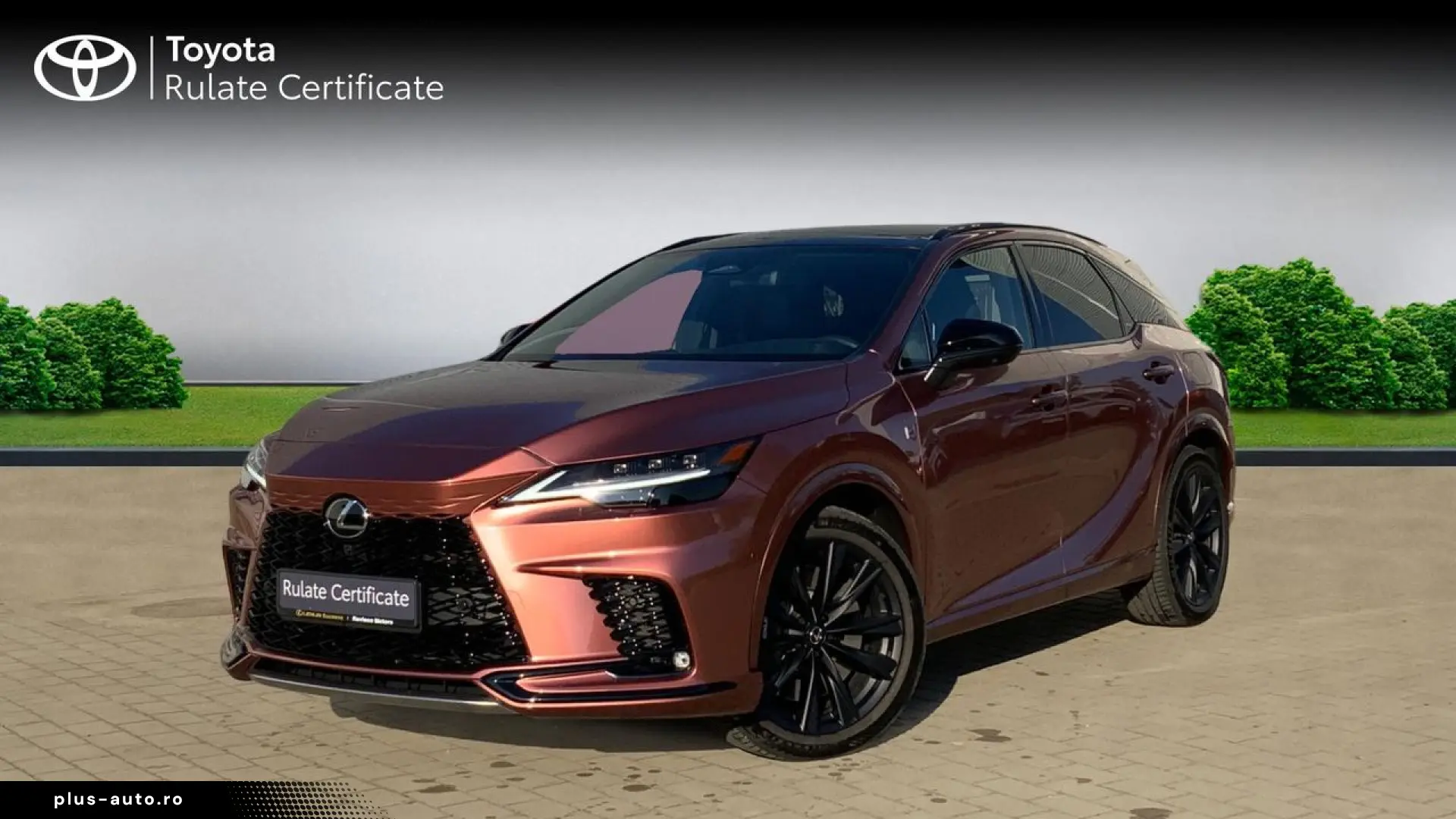 Lexus Seria-Rx