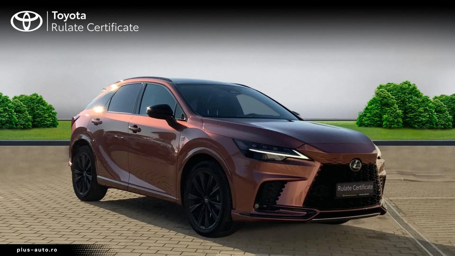 Lexus Seria-Rx