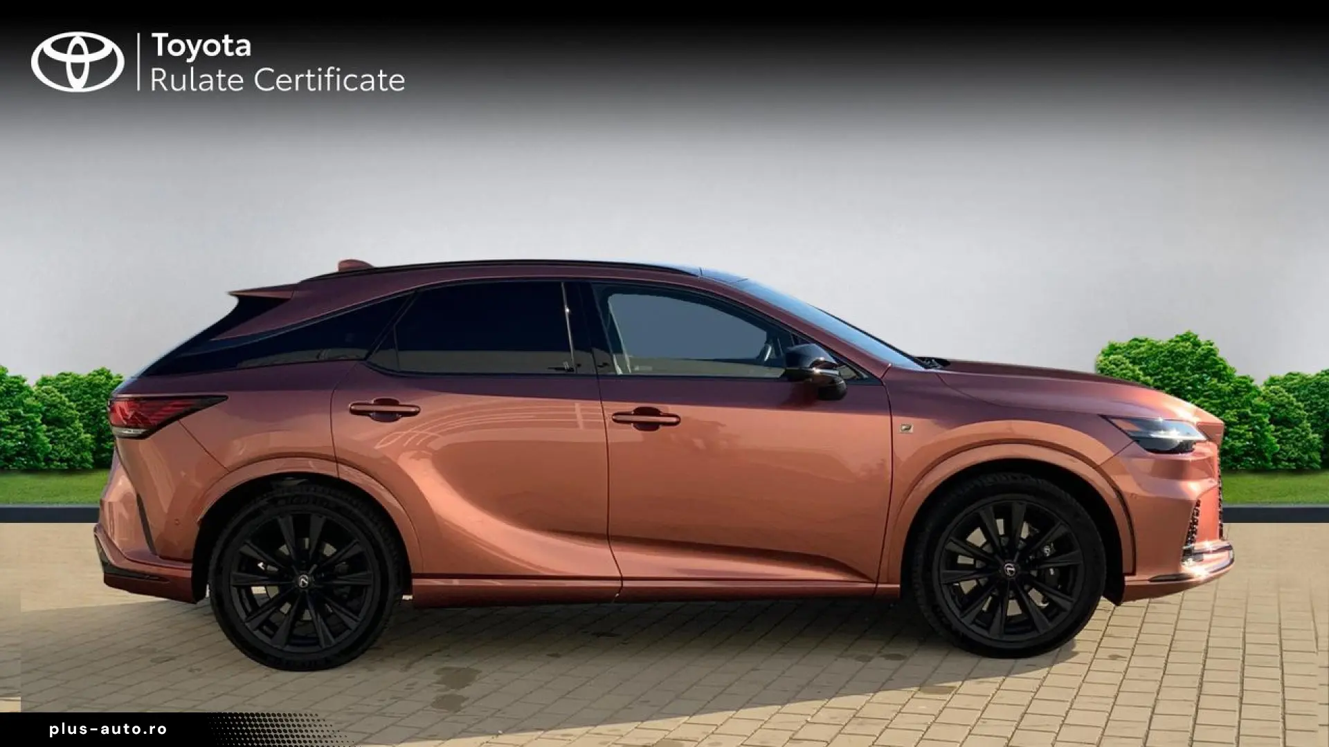Lexus Seria-Rx