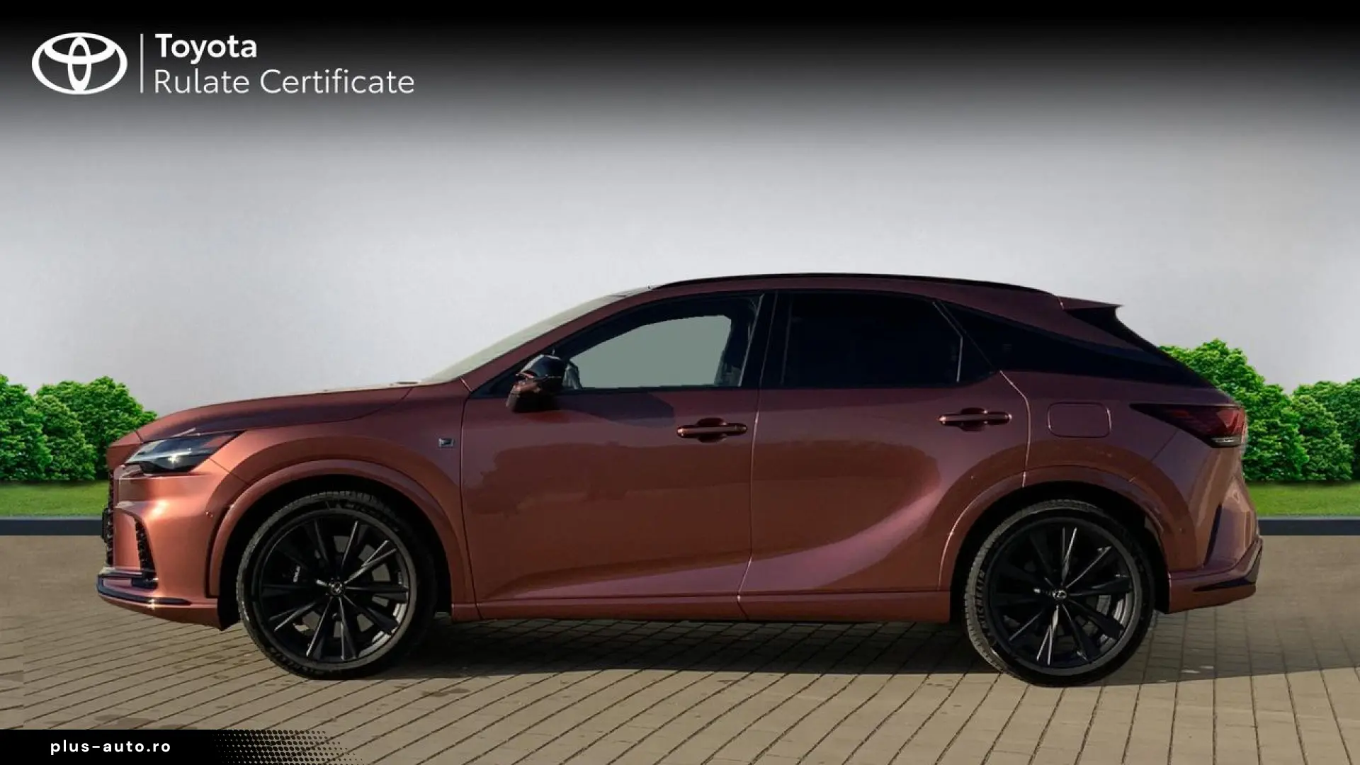Lexus Seria-Rx