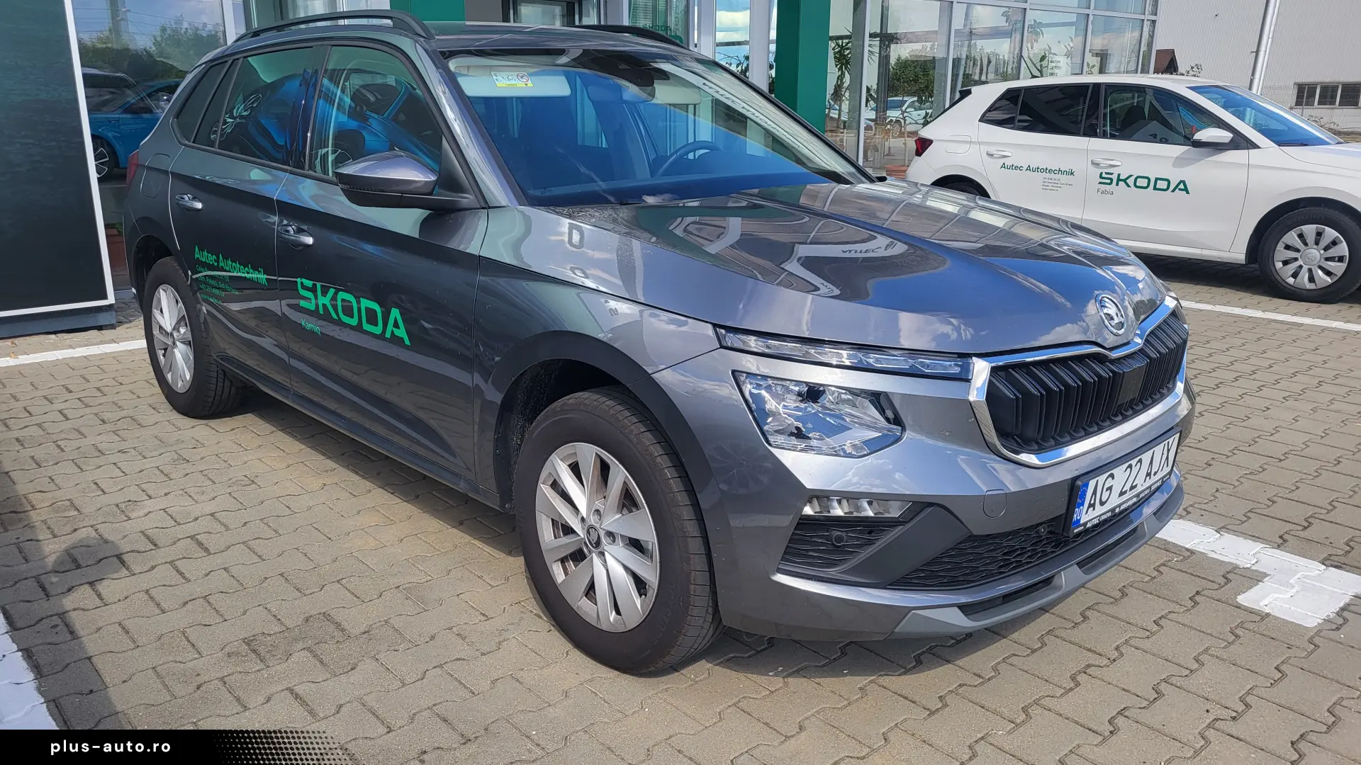 Skoda Kamiq 1.0 TSI DSG Selection 115CP