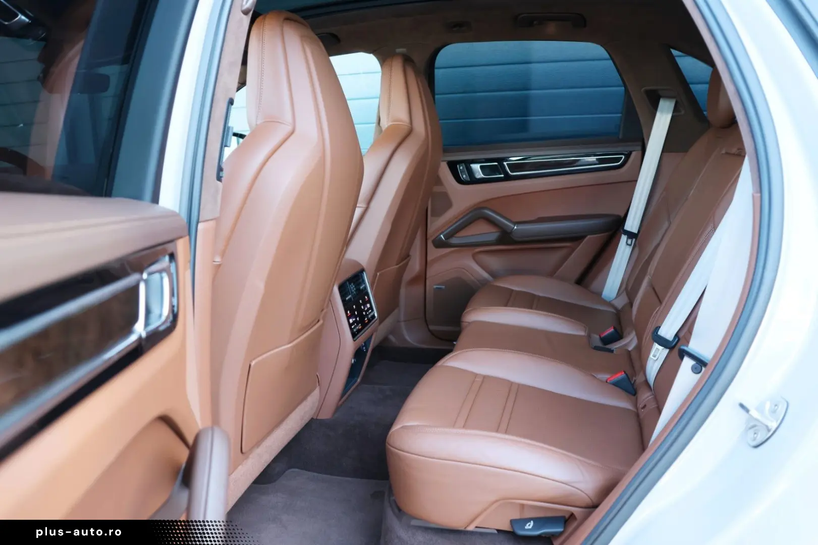 PORSCHE Cayenne 2.9 V6 S Platinum Edition BOSE 4xSHZ R21