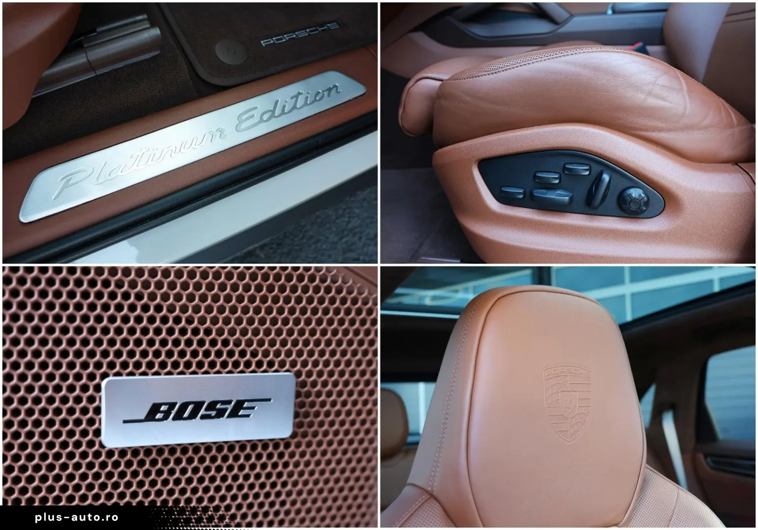 PORSCHE Cayenne 2.9 V6 S Platinum Edition BOSE 4xSHZ R21