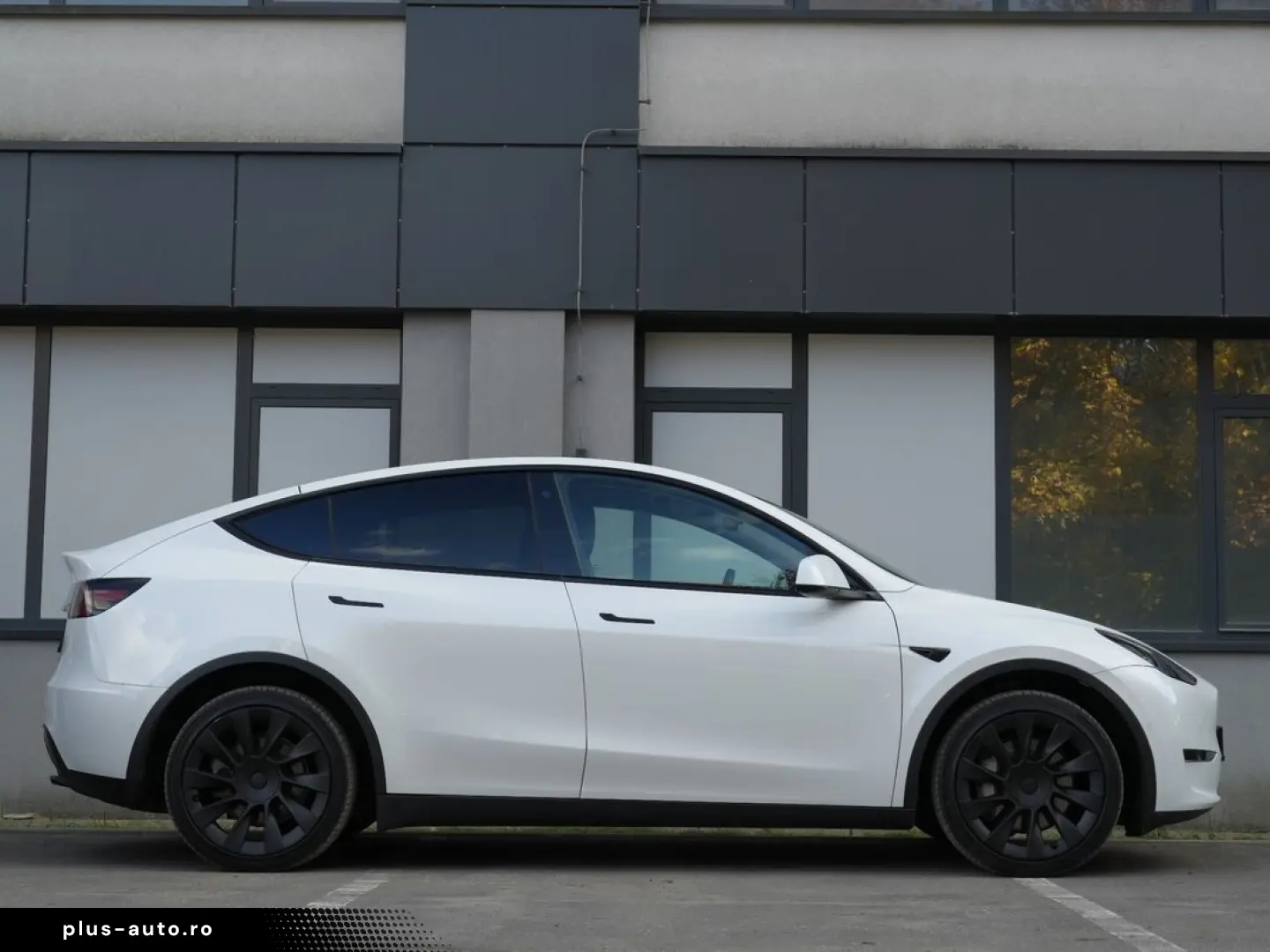 Tesla T-Model-Y