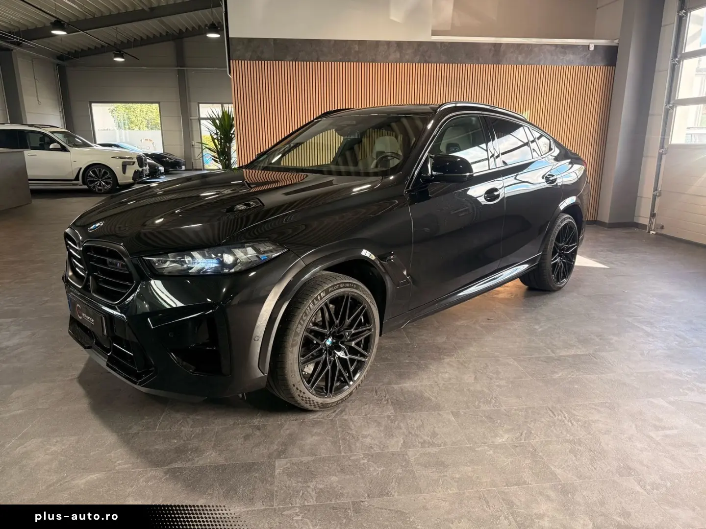 BMW X6 M Competition CARBON H&K  22