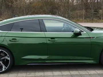 AUDI RS5  Sportback 2.9 TFSI Ou Tiptr. Sportabgasanla