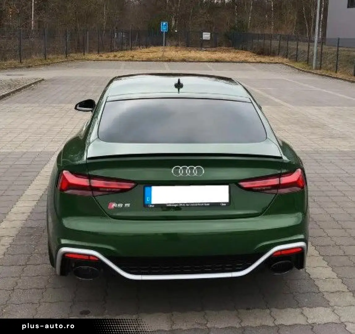 AUDI RS5  Sportback 2.9 TFSI Ou Tiptr. Sportabgasanla
