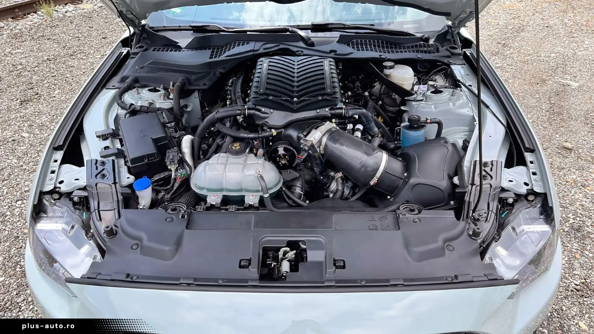 FORD MUSTANG MACH 1   767 CP • WHIPPLE SUPERCHARGER