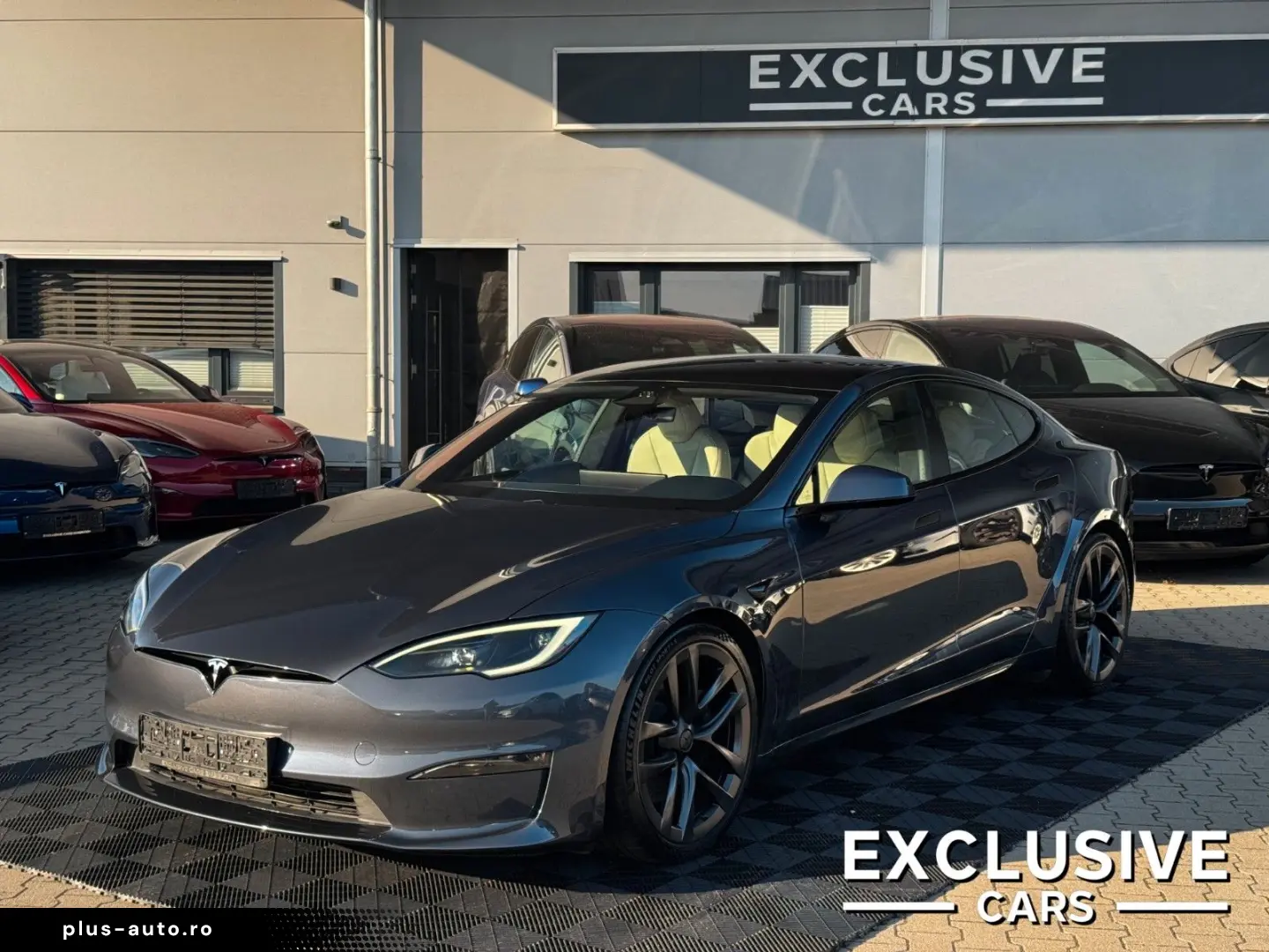 TESLA MODEL S PALLADIUM   ENHANCED AP AI4   MATRIX
