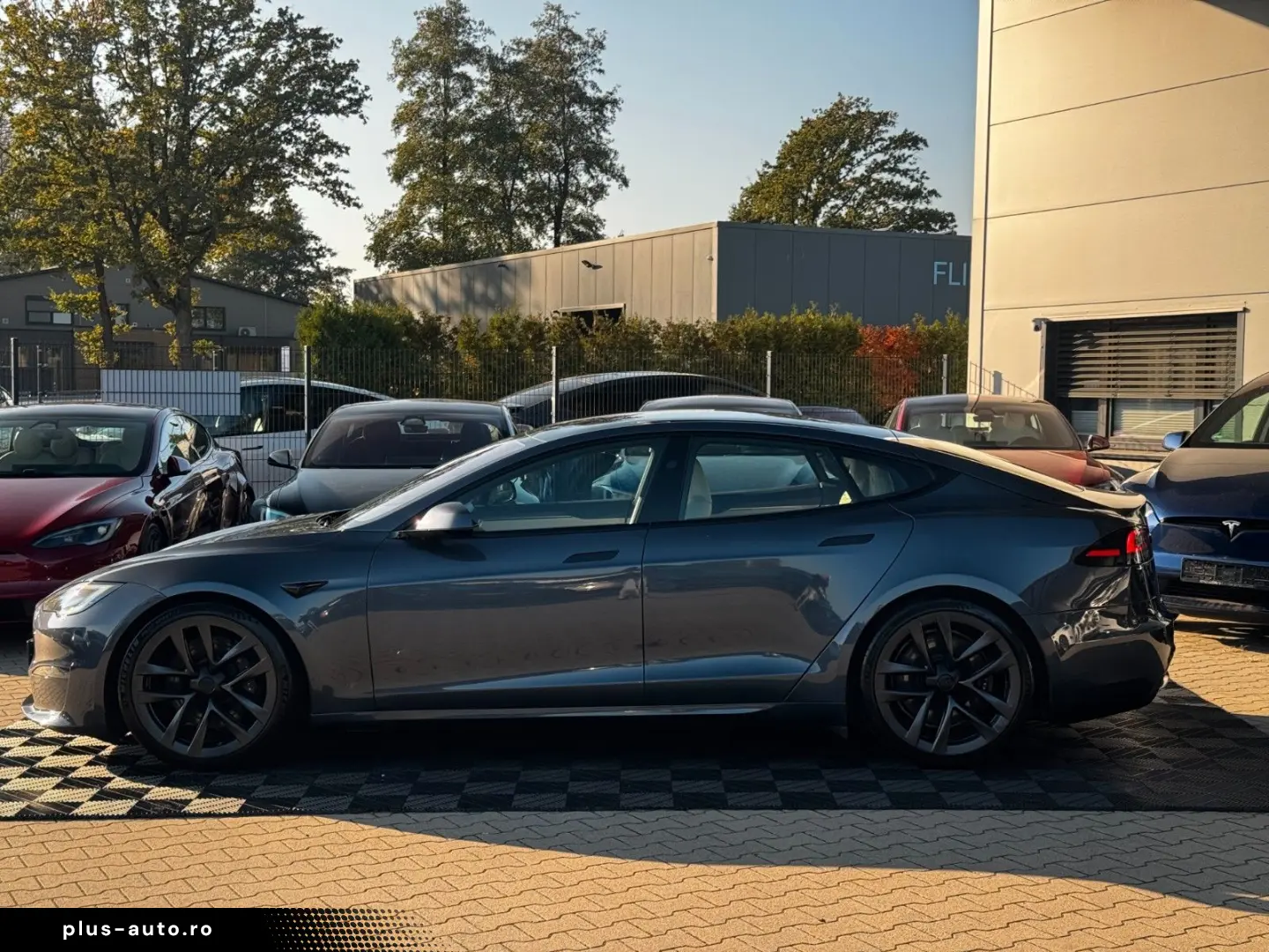 TESLA MODEL S PALLADIUM   ENHANCED AP AI4   MATRIX