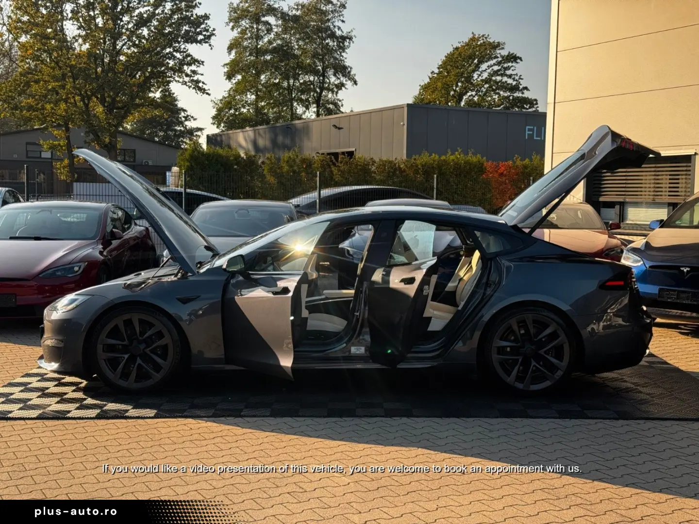 TESLA MODEL S PALLADIUM   ENHANCED AP AI4   MATRIX