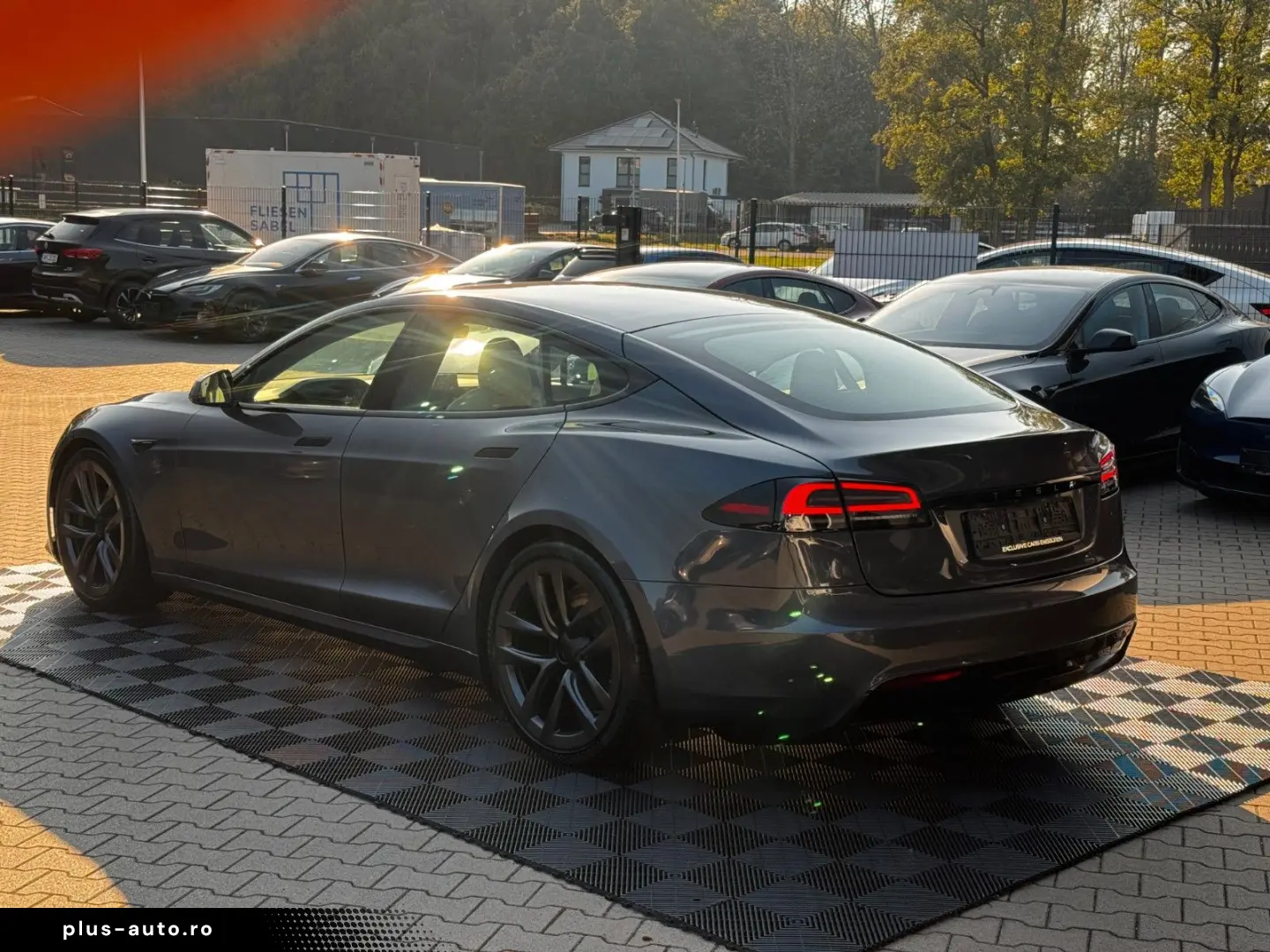 TESLA MODEL S PALLADIUM   ENHANCED AP AI4   MATRIX