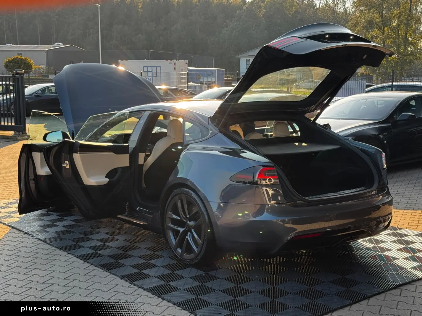 TESLA MODEL S PALLADIUM   ENHANCED AP AI4   MATRIX