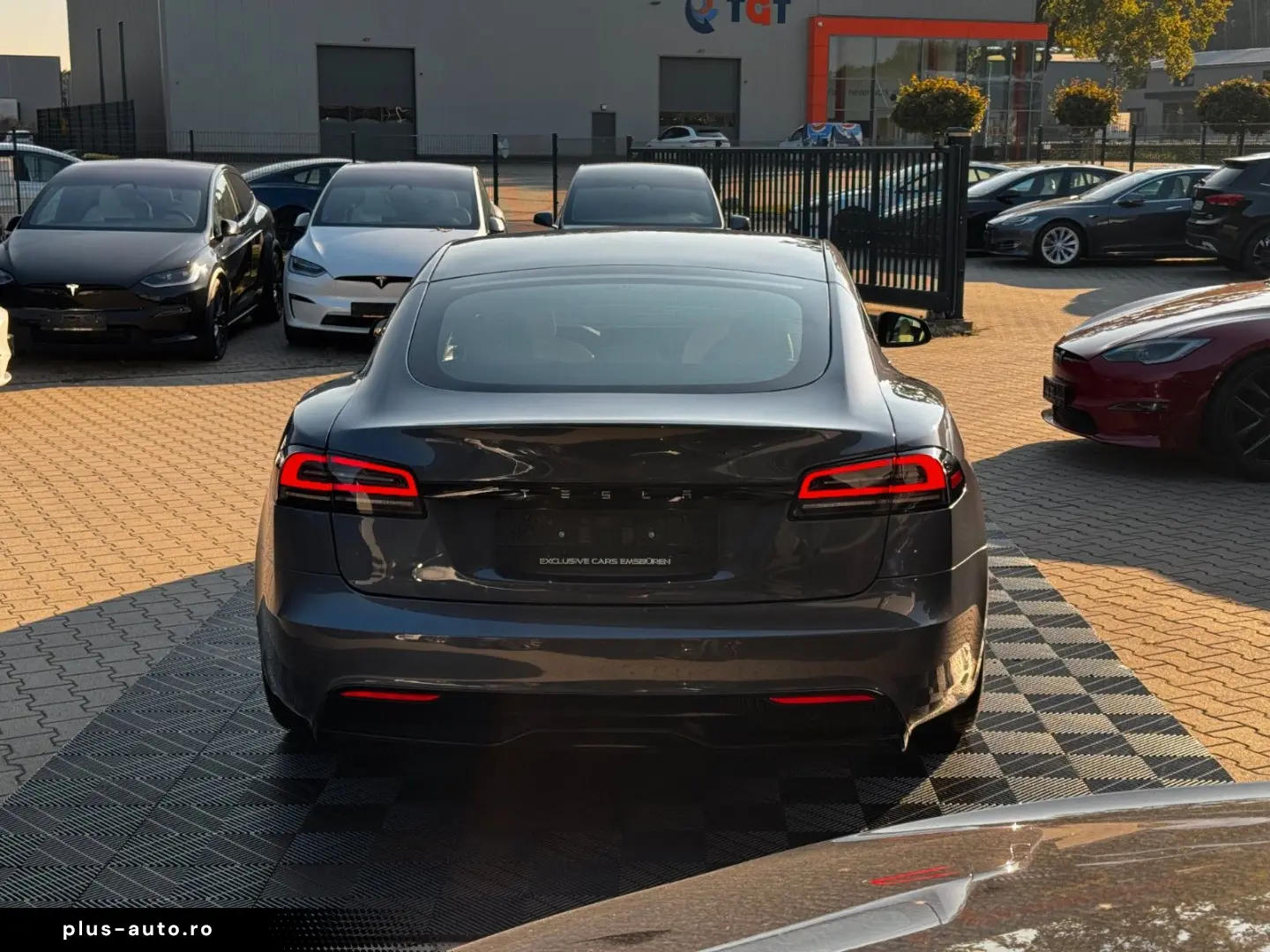 TESLA MODEL S PALLADIUM   ENHANCED AP AI4   MATRIX