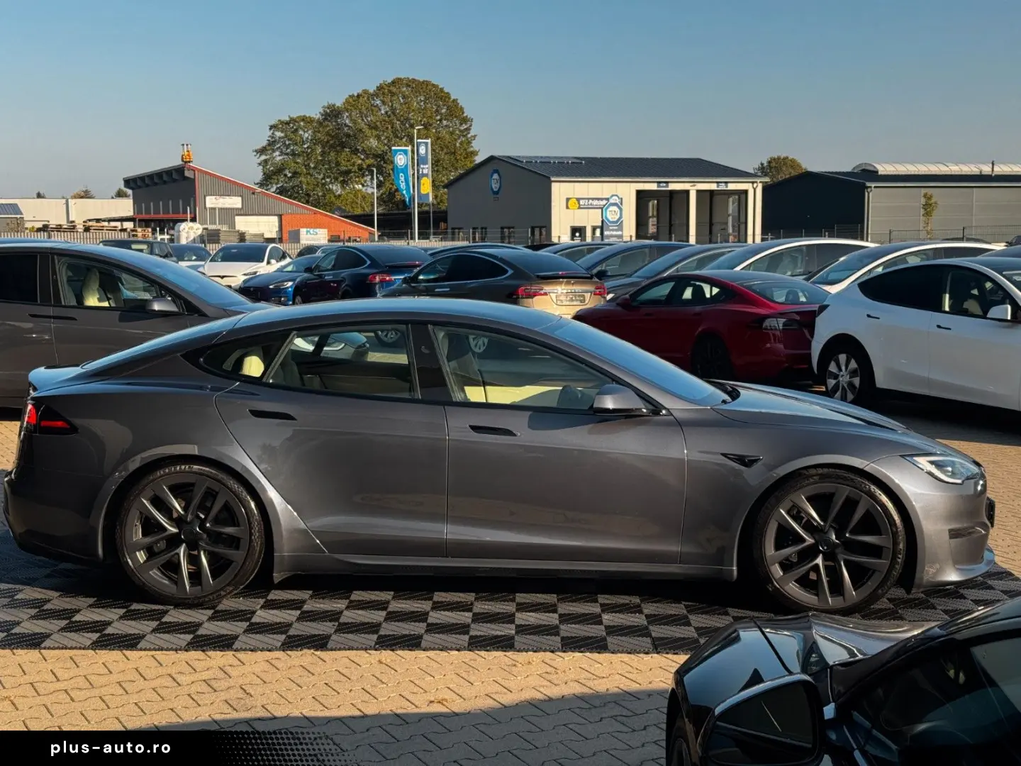 TESLA MODEL S PALLADIUM   ENHANCED AP AI4   MATRIX