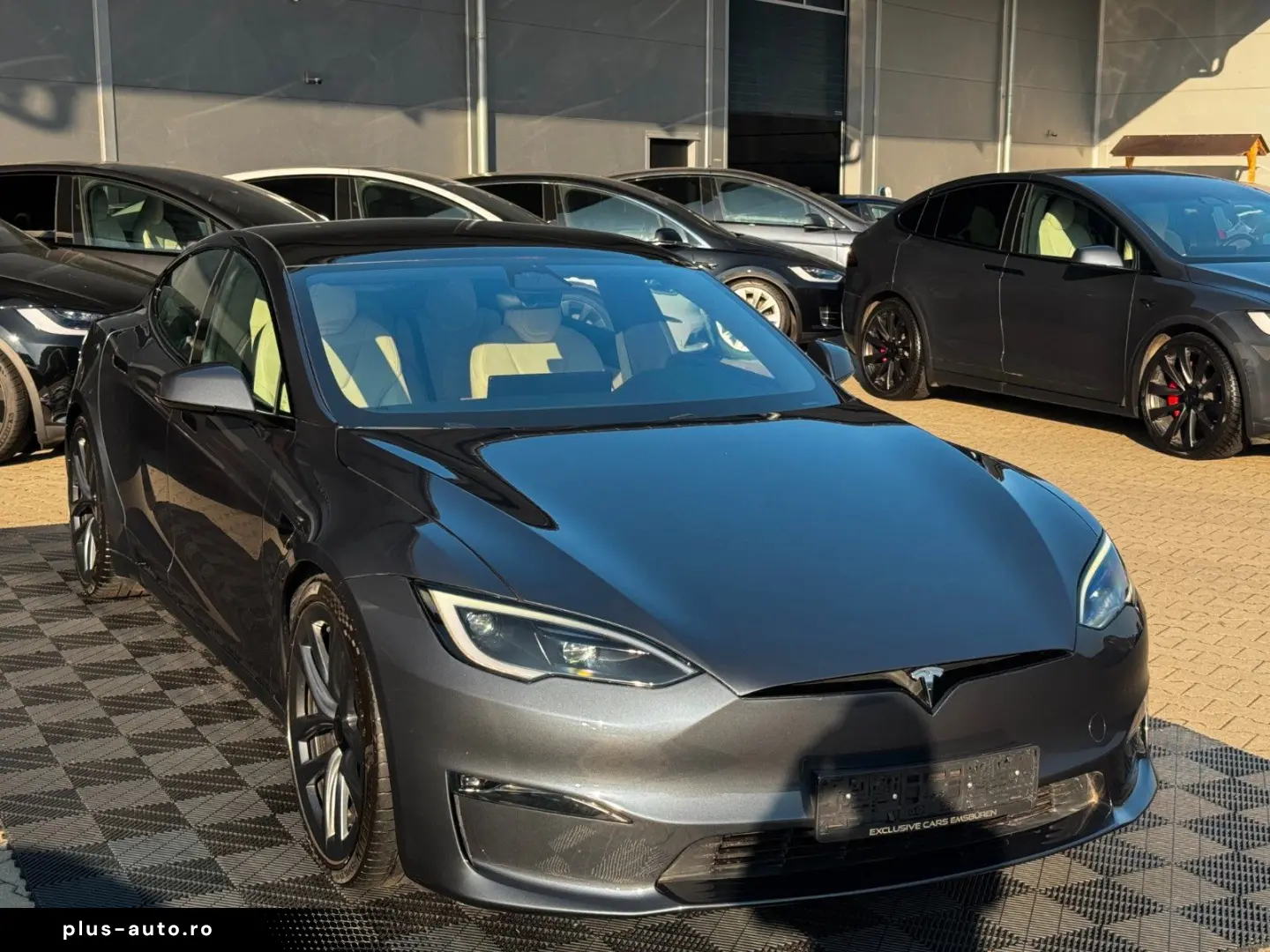 TESLA MODEL S PALLADIUM   ENHANCED AP AI4   MATRIX