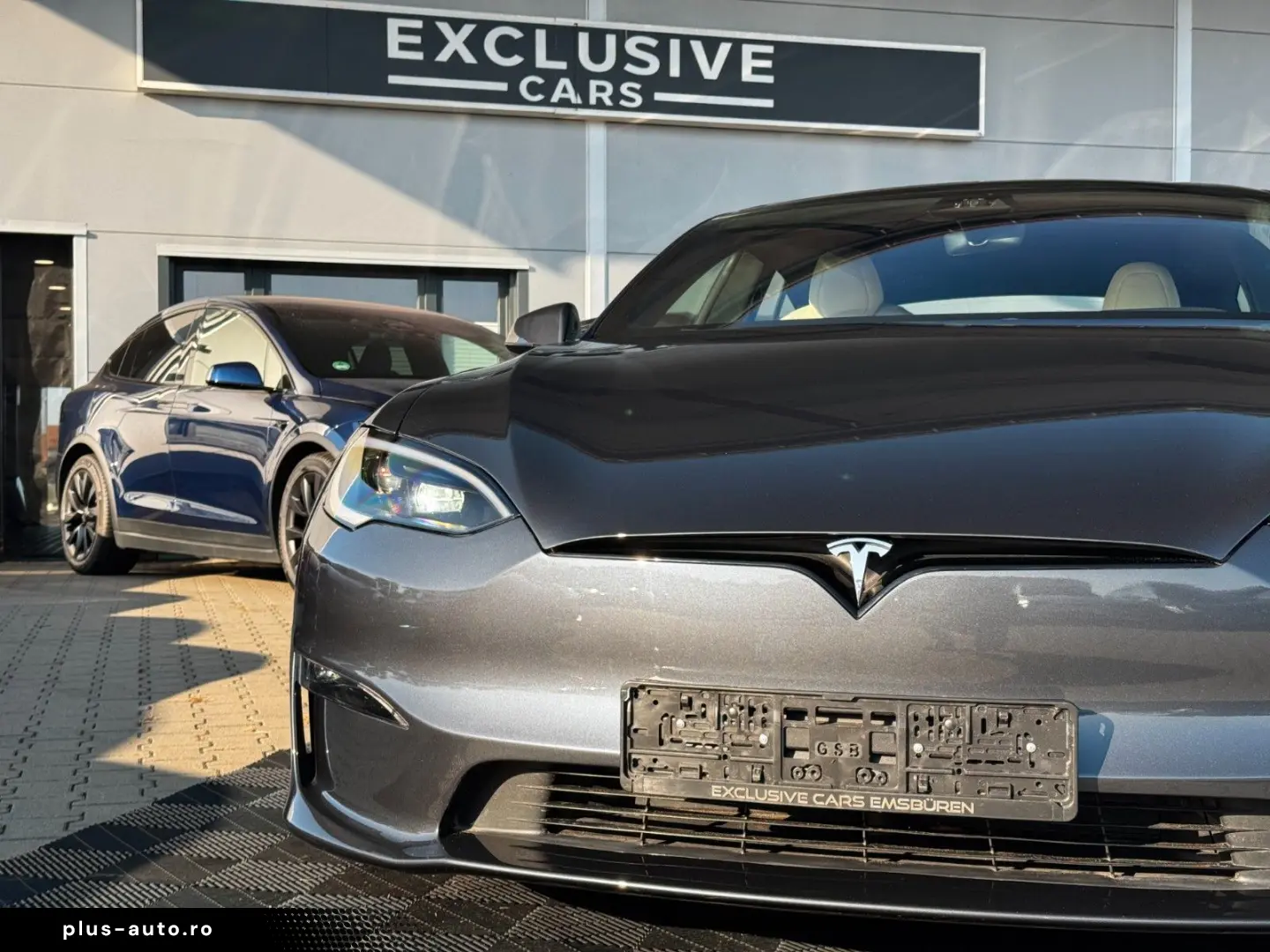 TESLA MODEL S PALLADIUM   ENHANCED AP AI4   MATRIX