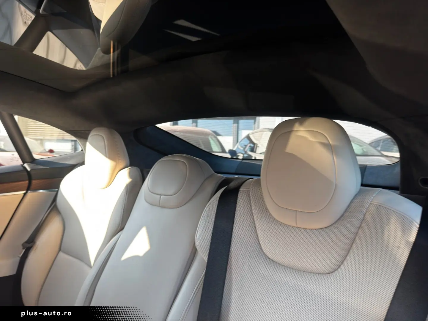 TESLA MODEL S PALLADIUM   ENHANCED AP AI4   MATRIX
