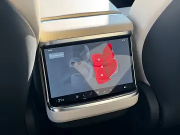 TESLA MODEL S PALLADIUM   ENHANCED AP AI4   MATRIX