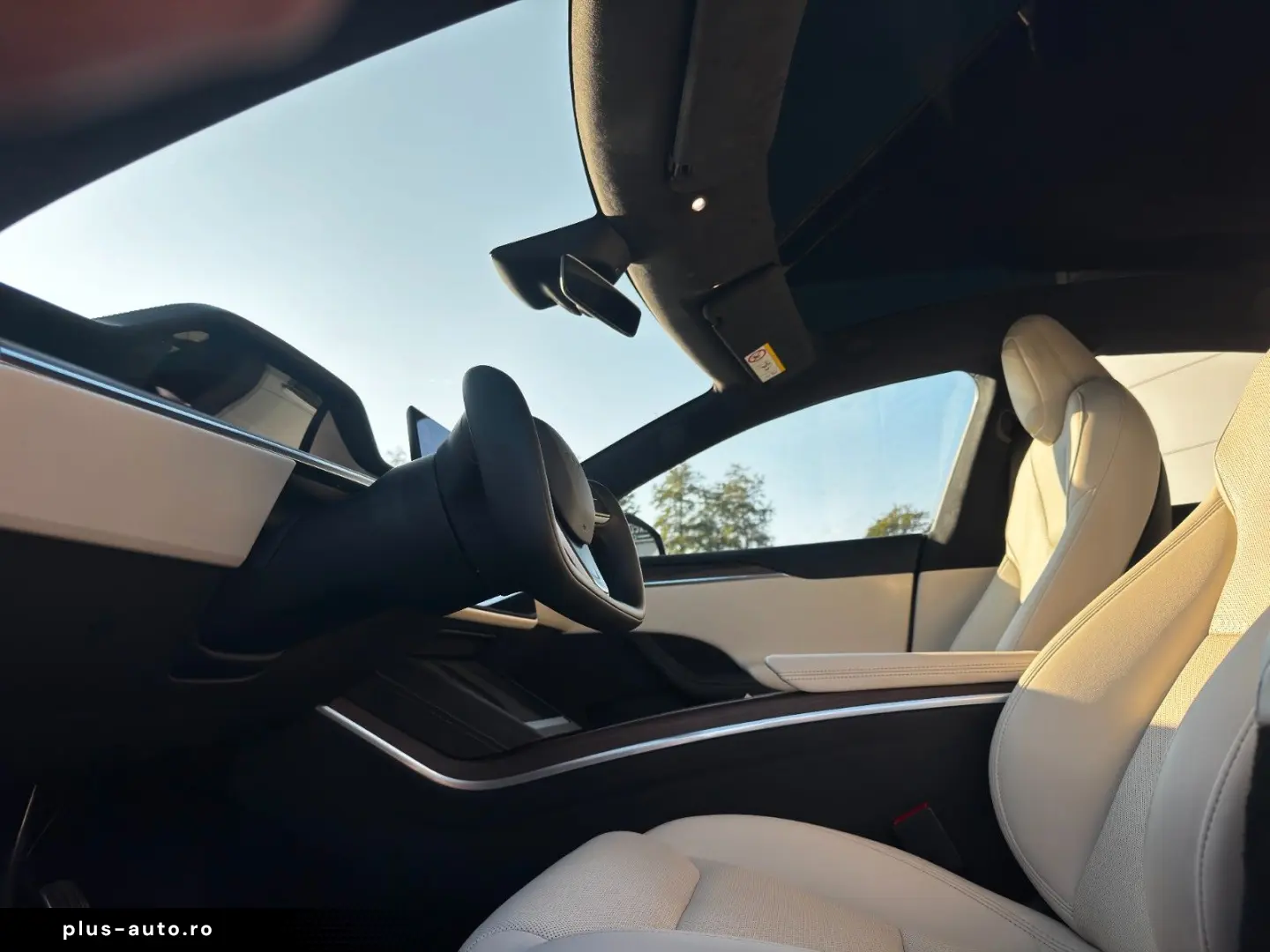 TESLA MODEL S PALLADIUM   ENHANCED AP AI4   MATRIX