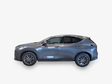 LEXUS NX 350h Business Line NAVI LED LEDER Shz PDC