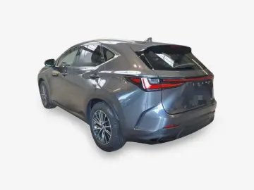 LEXUS NX 350h Business Line NAVI LED LEDER Shz PDC