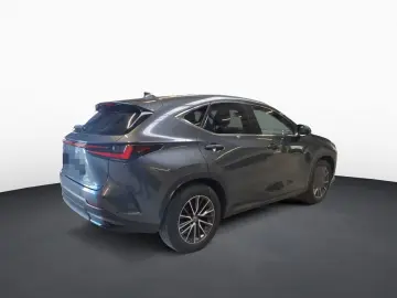 LEXUS NX 350h Business Line NAVI LED LEDER Shz PDC