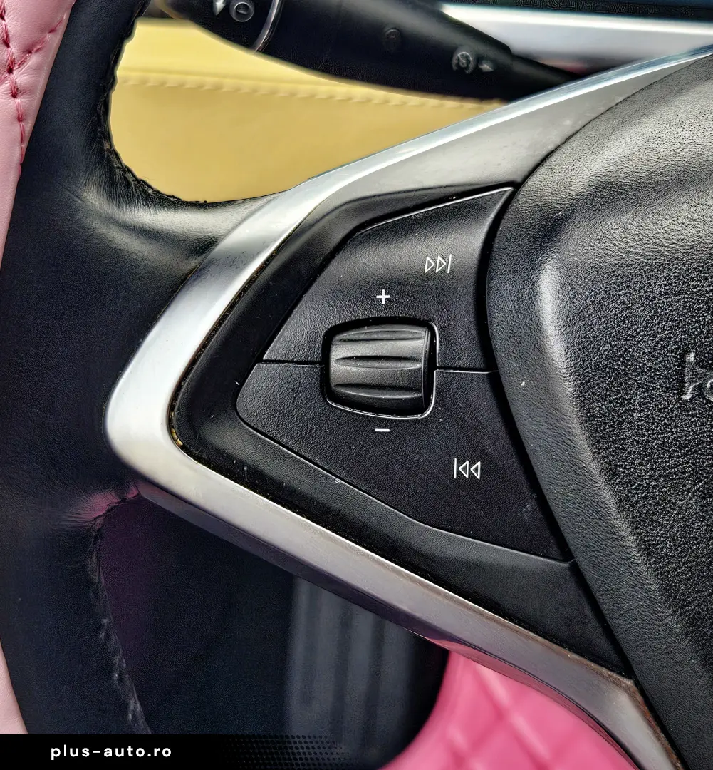 Tesla Model S Performance 85 - 95000 KM !!!
