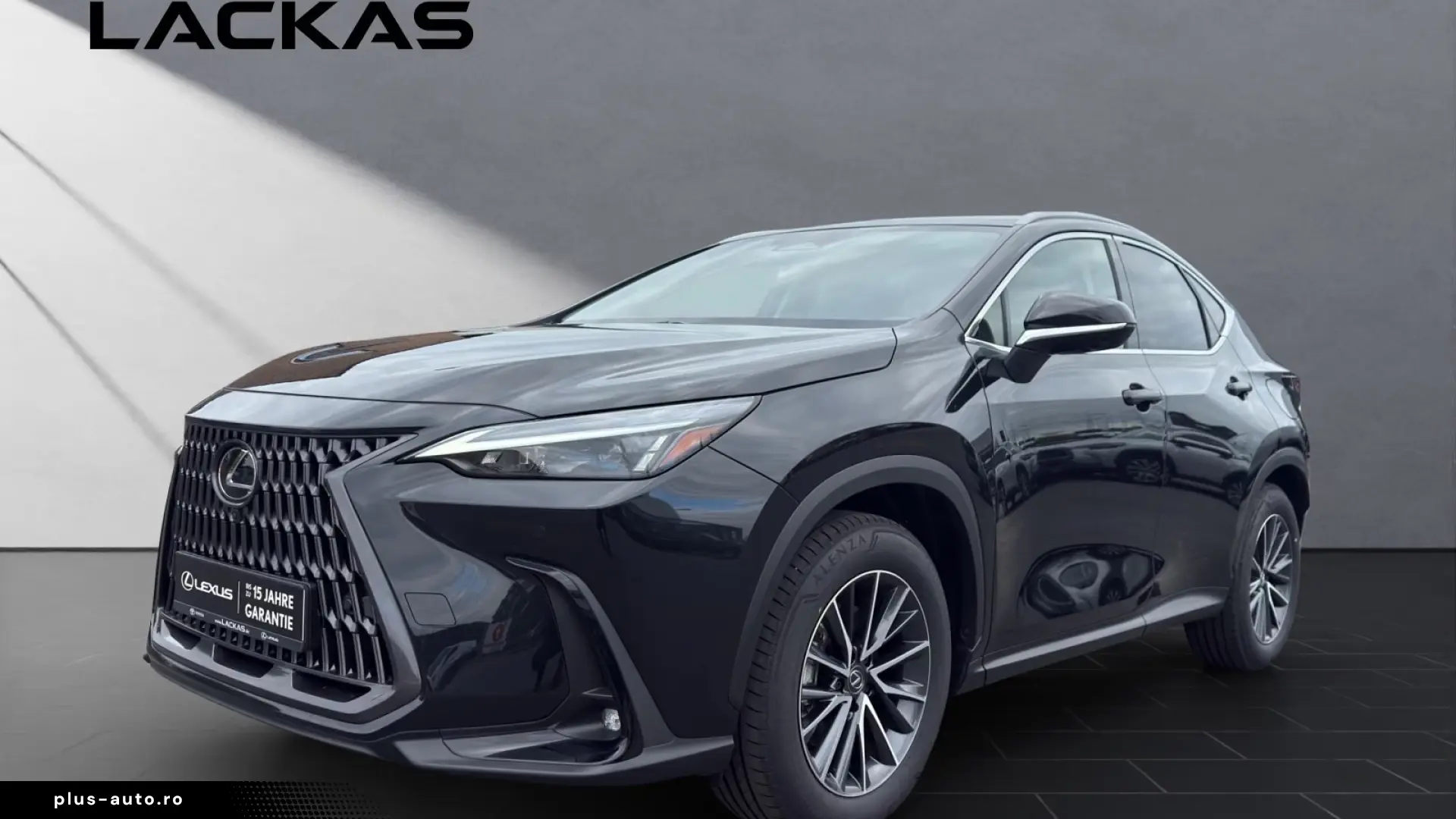 Lexus NX 350h Business Connect Paket 360CAM