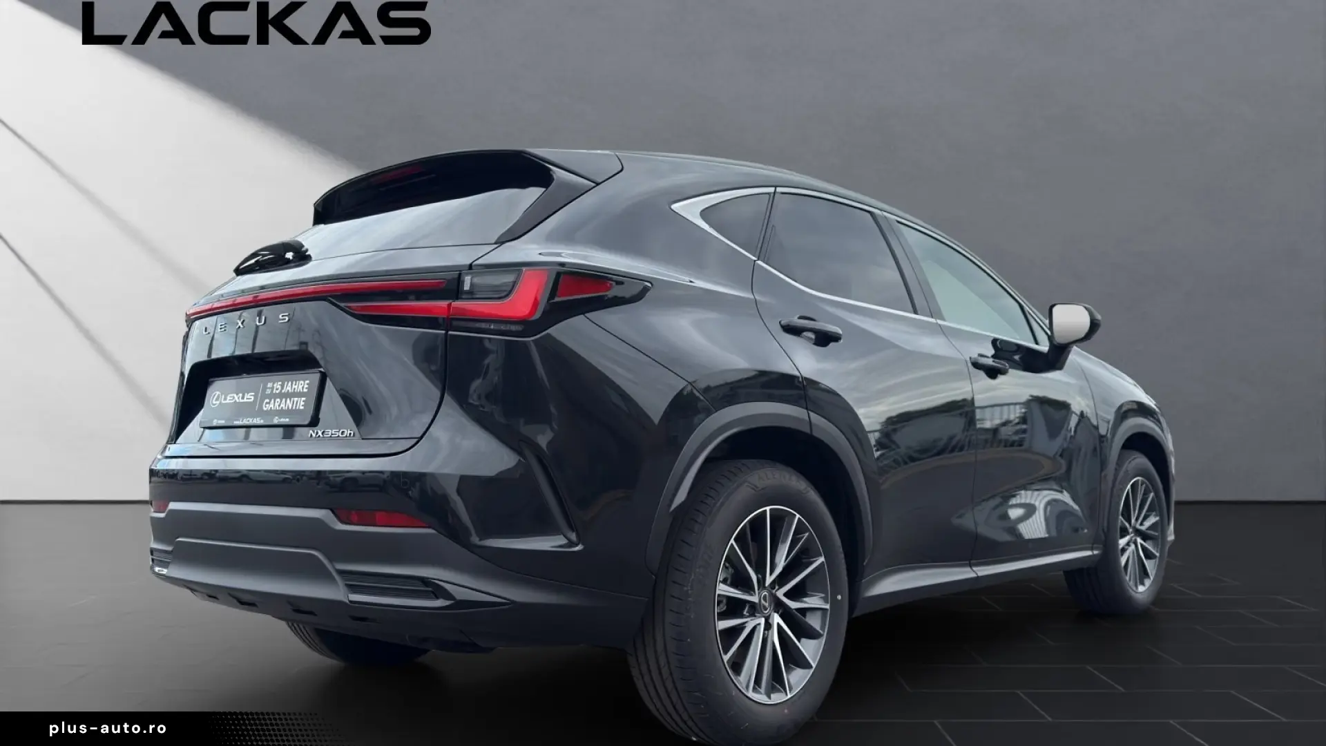 Lexus NX 350h Business Connect Paket 360CAM