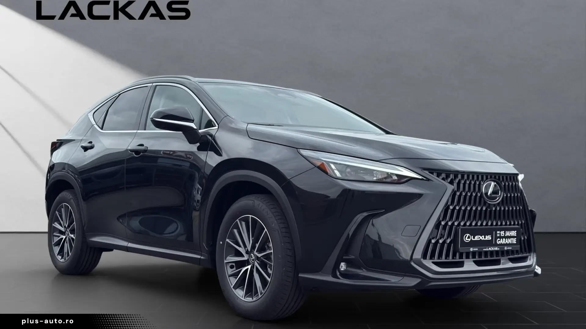 Lexus NX 350h Business Connect Paket 360CAM