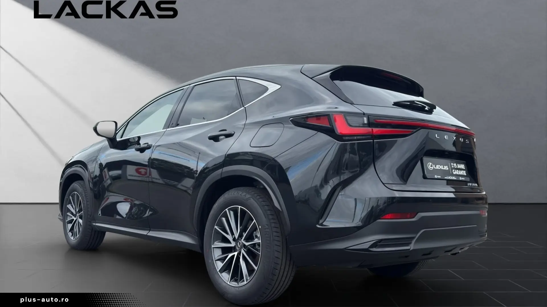 Lexus NX 350h Business Connect Paket 360CAM