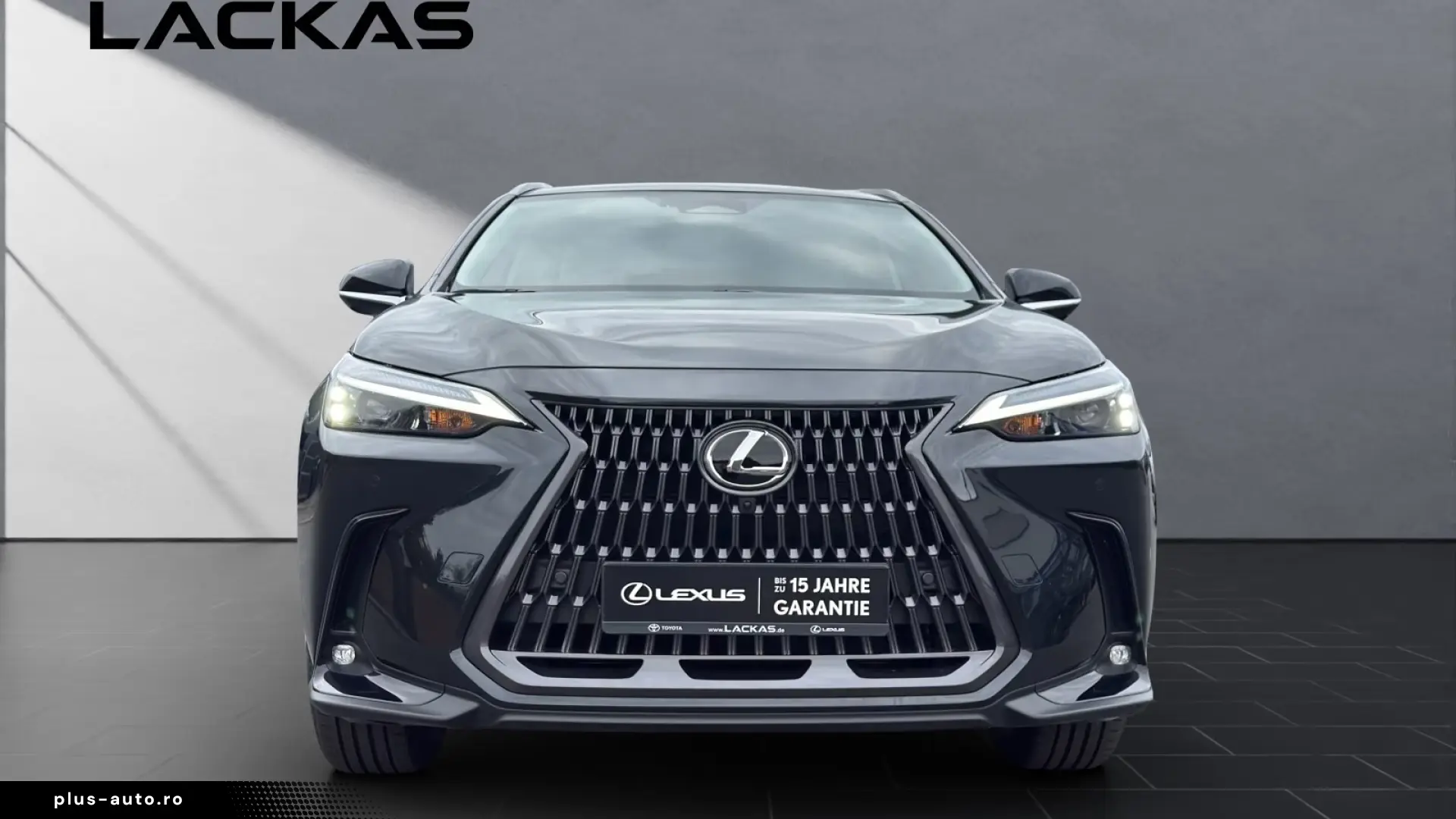 Lexus NX 350h Business Connect Paket 360CAM