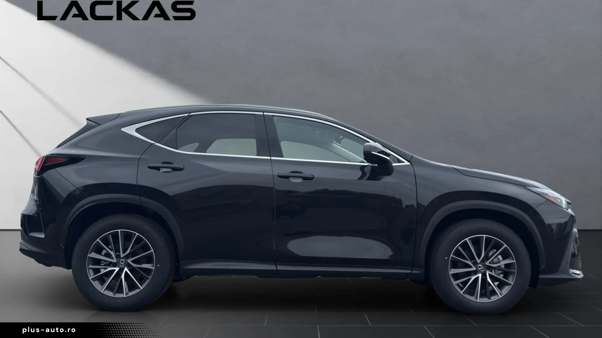 Lexus NX 350h Business Connect Paket 360CAM