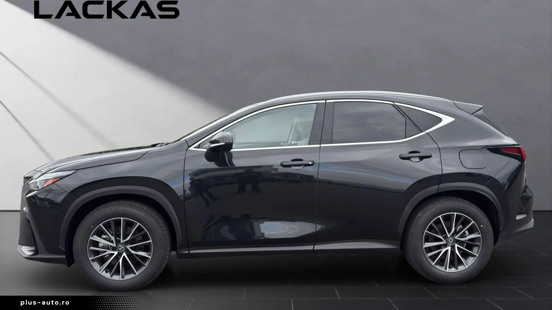 Lexus NX 350h Business Connect Paket 360CAM