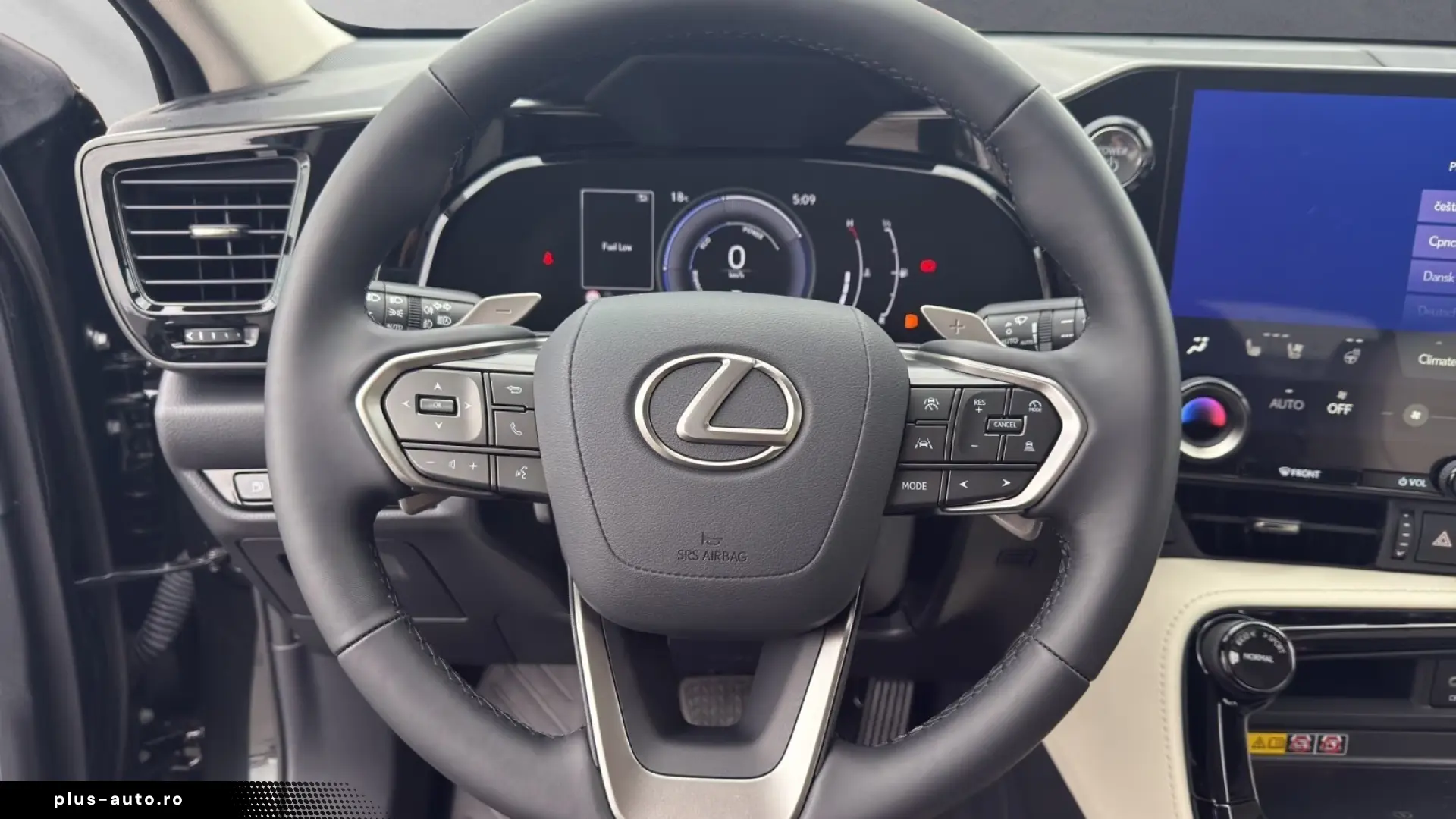 Lexus NX 350h Business Connect Paket 360CAM