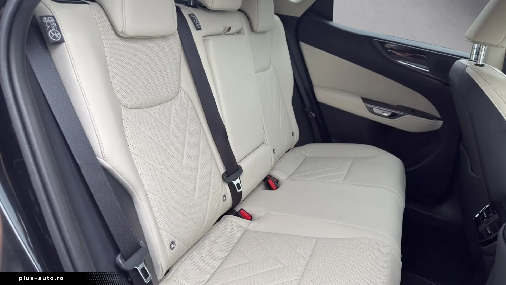 Lexus NX 350h Business Connect Paket 360CAM