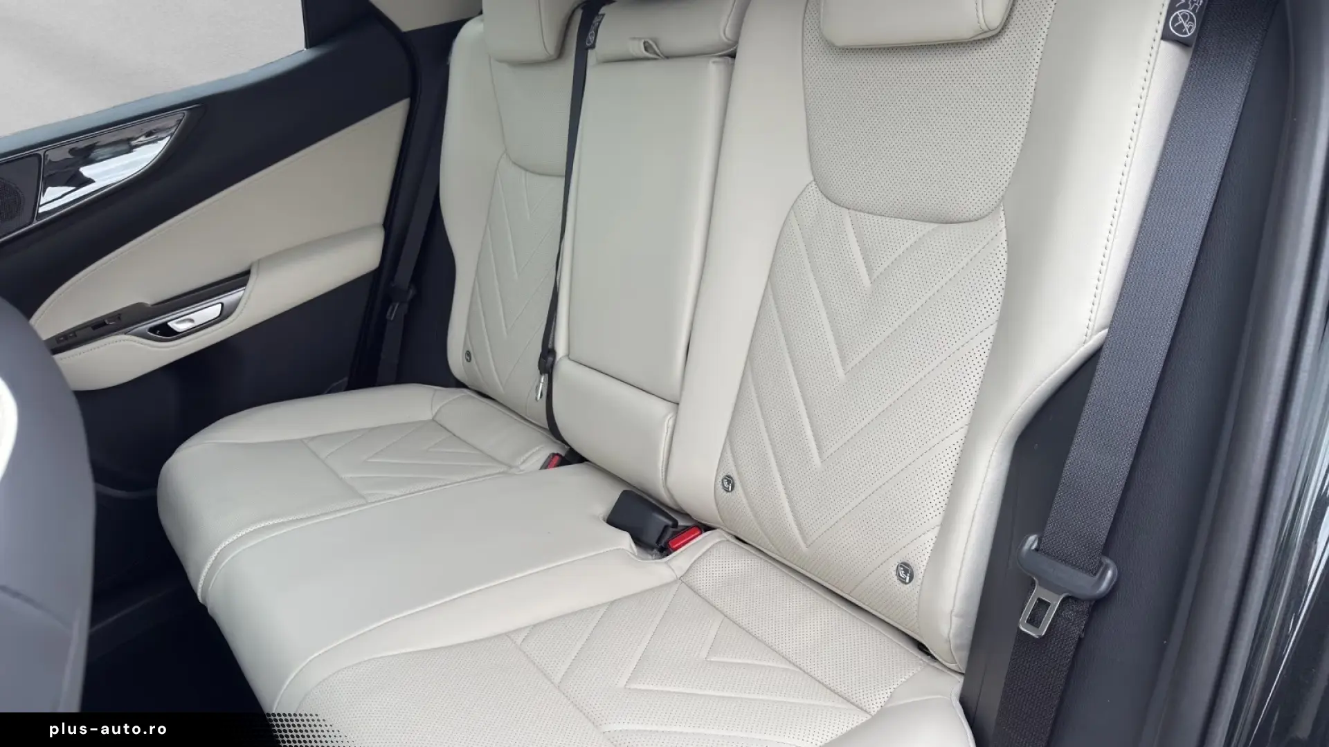 Lexus NX 350h Business Connect Paket 360CAM