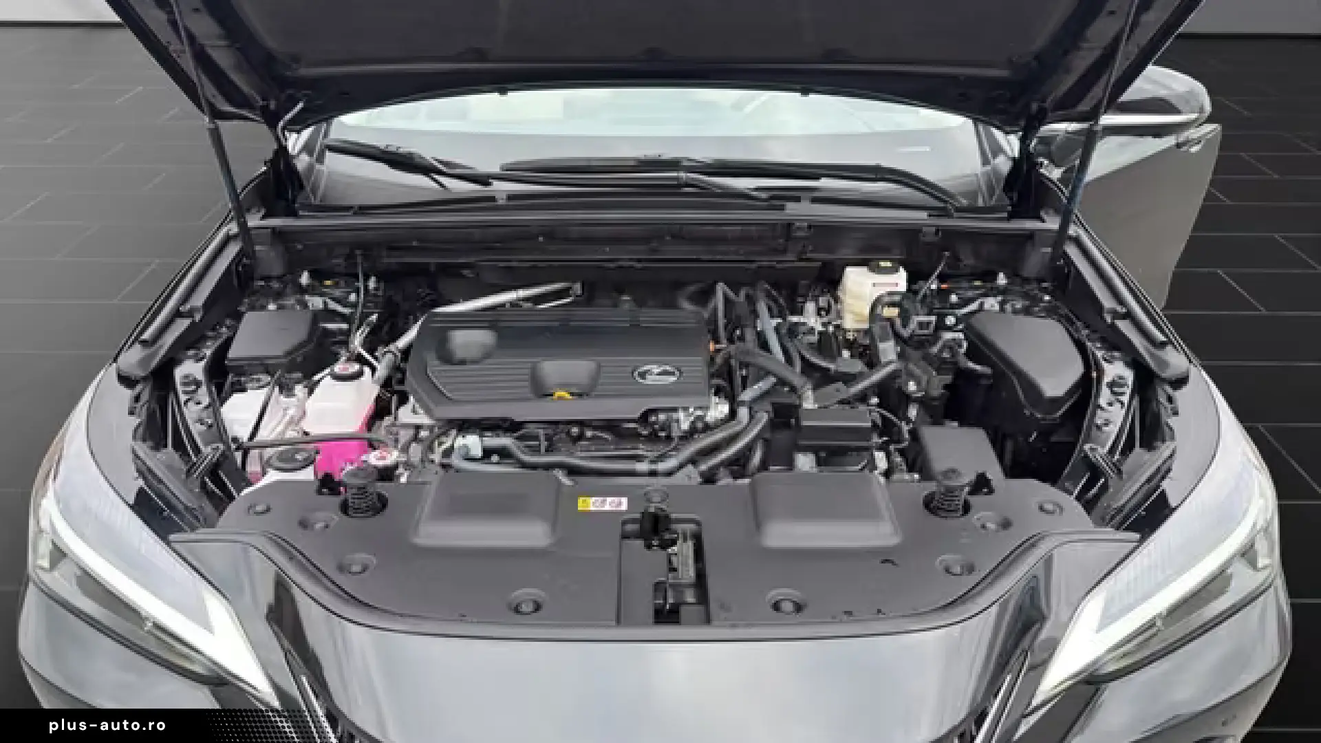 Lexus NX 350h Business Connect Paket 360CAM
