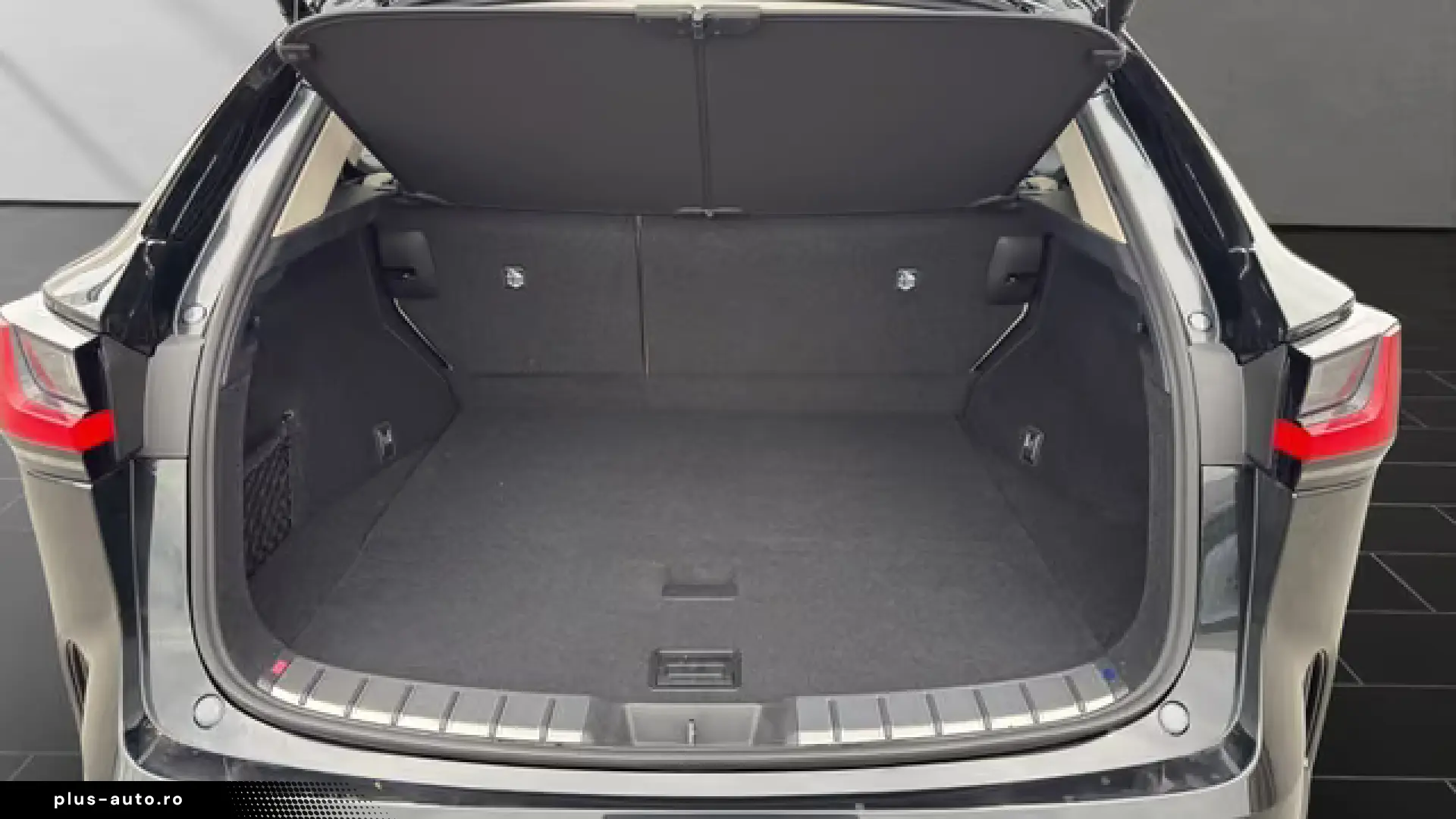Lexus NX 350h Business Connect Paket 360CAM