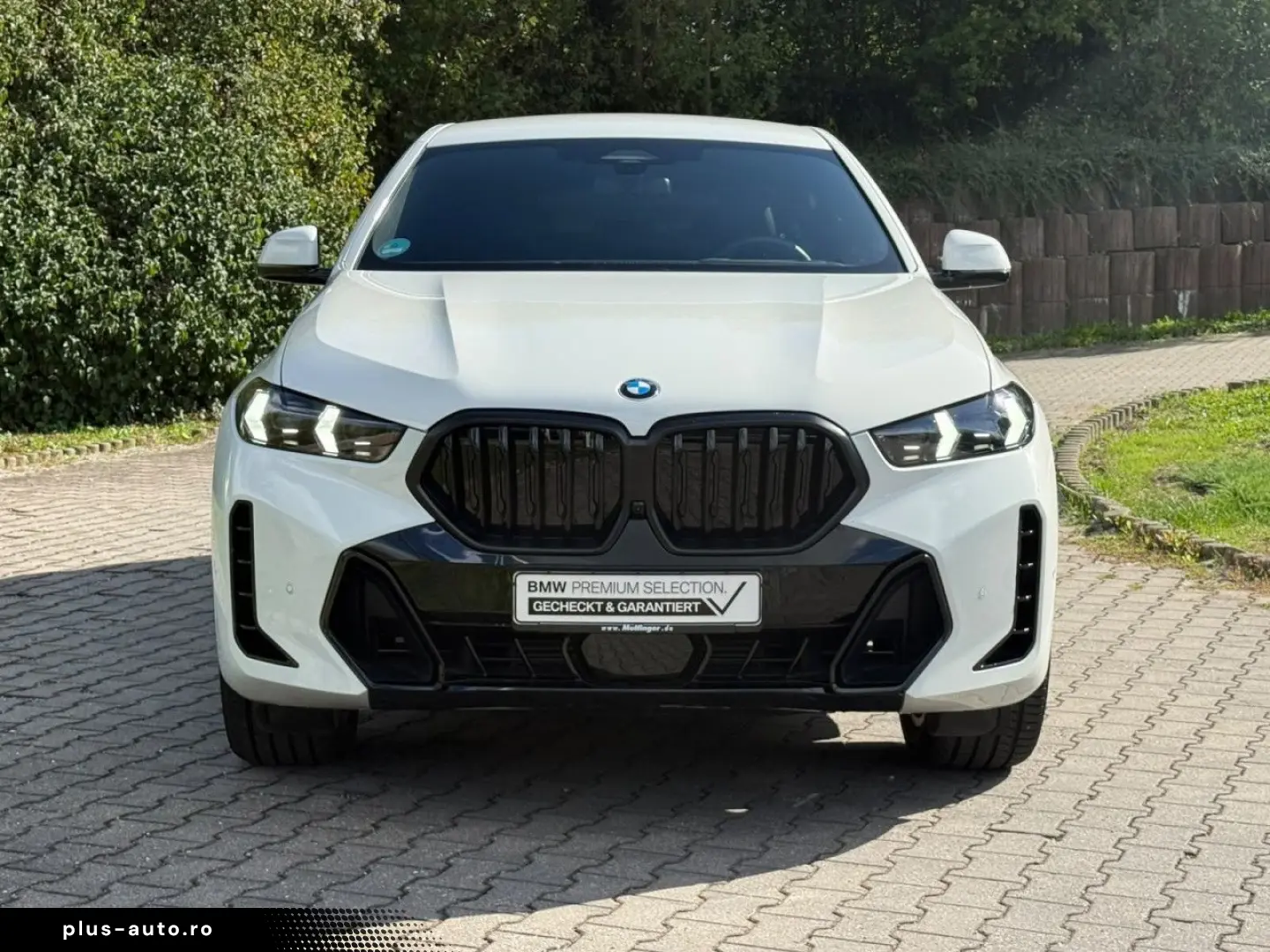 BMW X6 x30d M Sport Pro Iconic ParkProf.AHK.Leas.599
